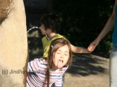 Františkánská zahrada