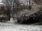 w_E7D_3619.jpg