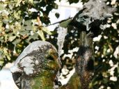 Františkánská zahrada