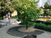 Františkánská zahrada