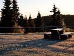 e7d_4558.jpg