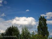 Cesta na Sylvánský vrch